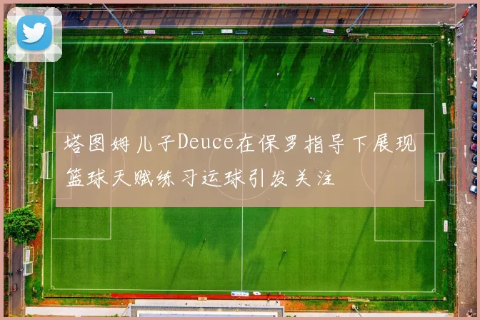 塔图姆儿子Deuce在保罗指导下展现篮球天赋练习运球引发关注