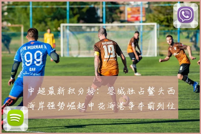 中超最新积分榜：蓉城独占鳌头西海岸强势崛起申花海港争夺前列位置