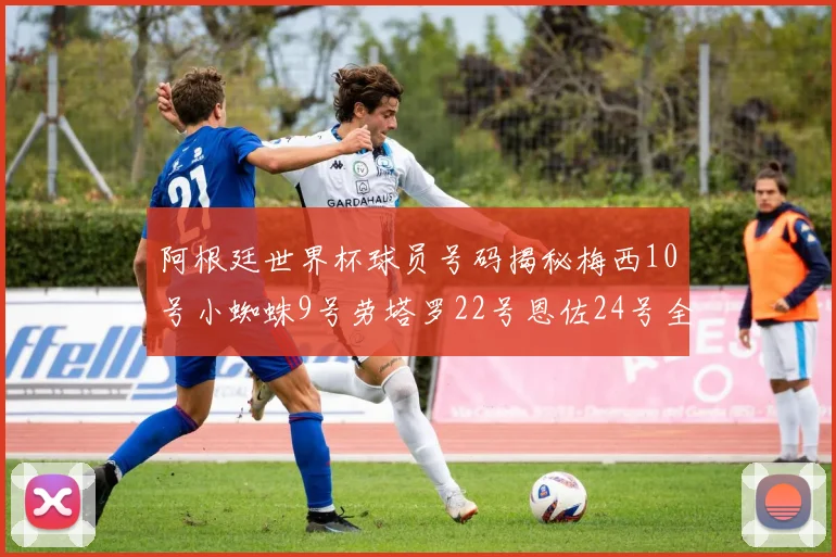 阿根廷世界杯球员号码揭秘梅西10号小蜘蛛9号劳塔罗22号恩佐24号全解析